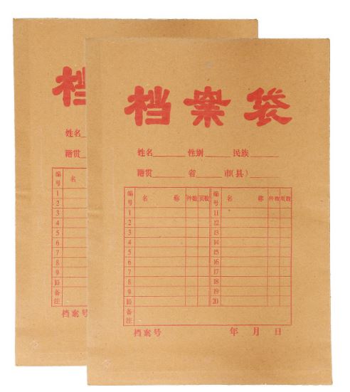 档案袋.JPG